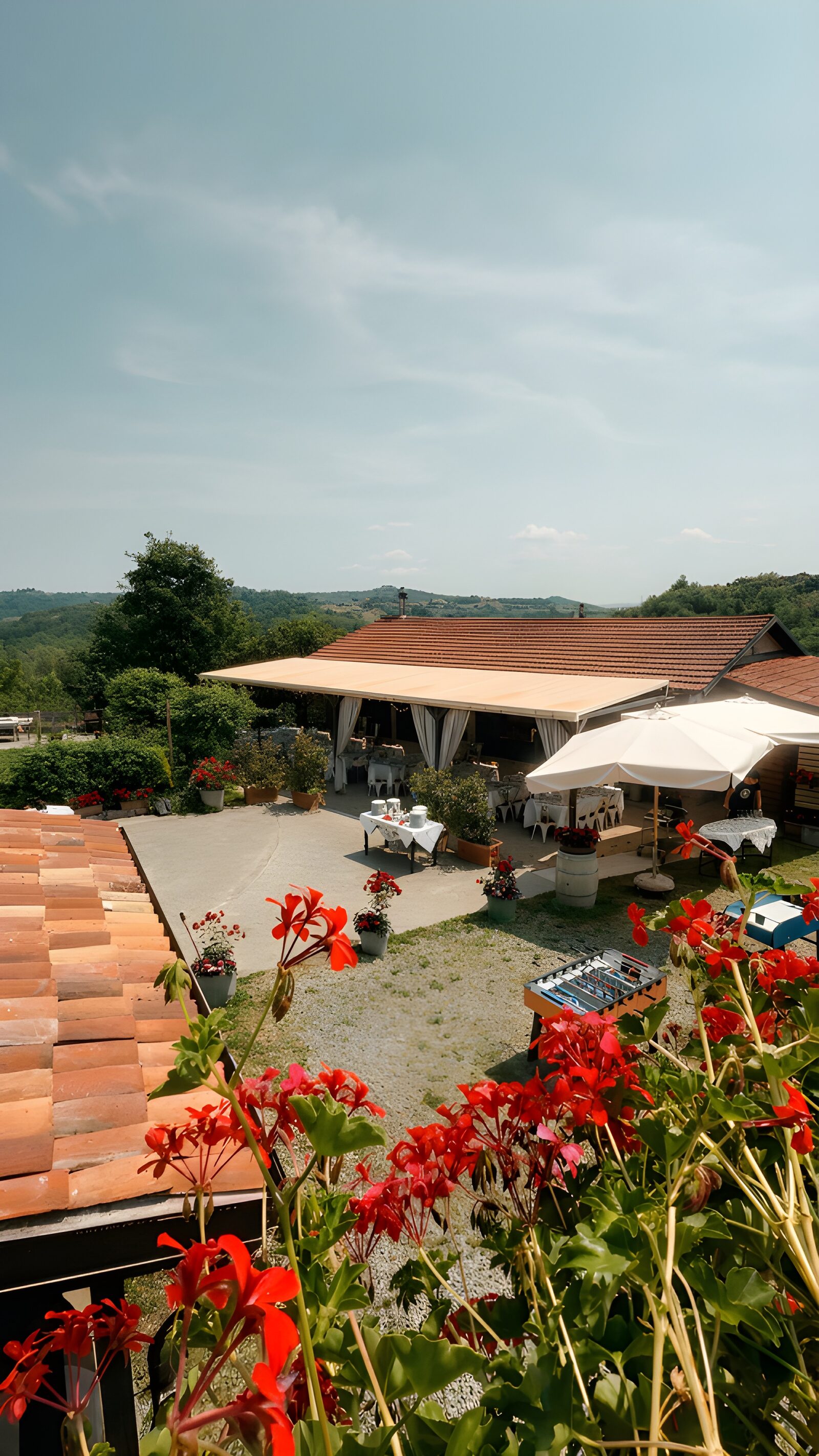 Brunch agricolo