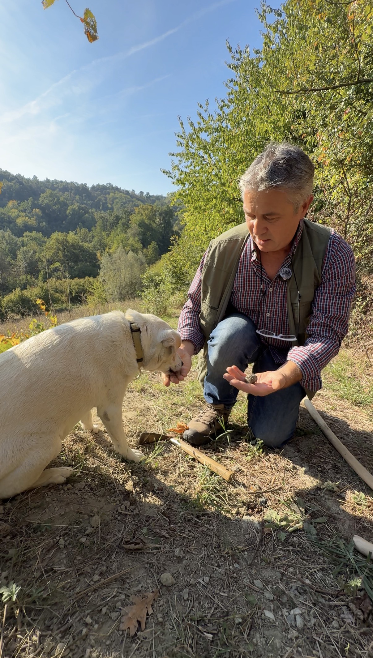 Un tartufaio con il suo cane nel bosco